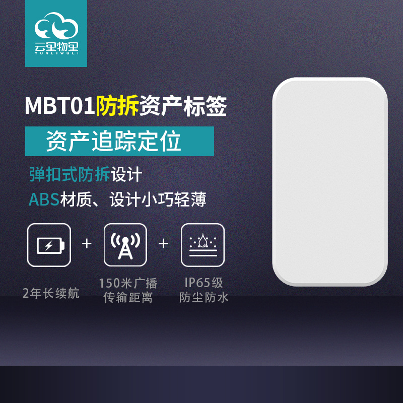 MBT01 防拆资产标签-图1